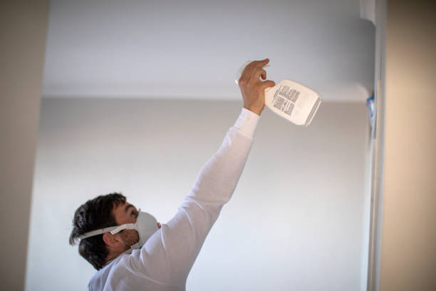 Best Residential Mold Removal  in Perry, KS