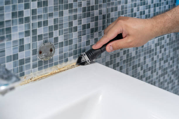 Best Fast Mold Removal  in Perry, KS