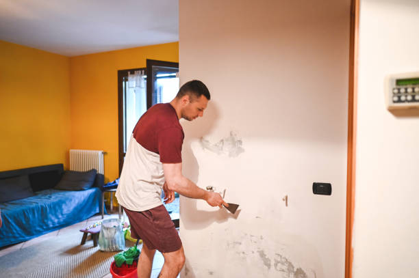 Best Certified Mold Removal  in Perry, KS