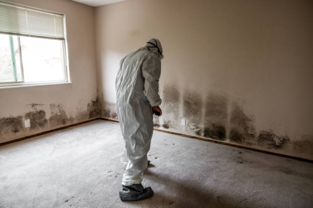 Water Damage Restoration in Perry, KS