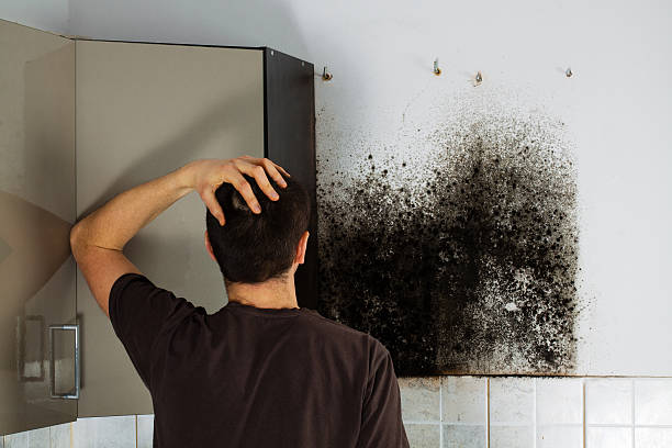 Best Mold Cleaning Services  in Perry, KS
